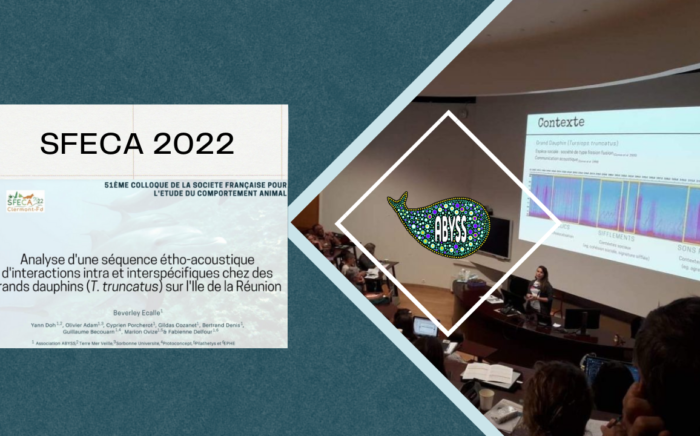 SFECA 2022