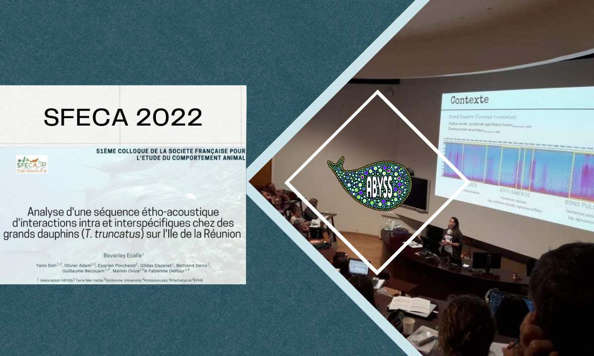 SFECA 2022