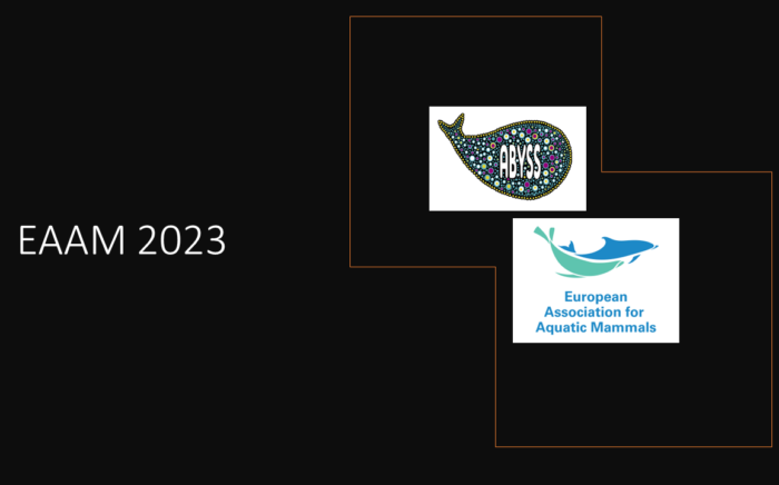 EAAM 2023