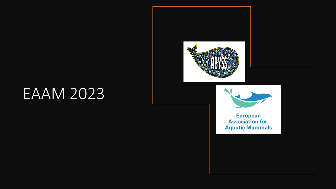 EAAM 2023