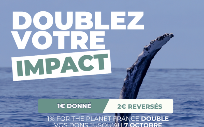 Lancement_SENTINELLES